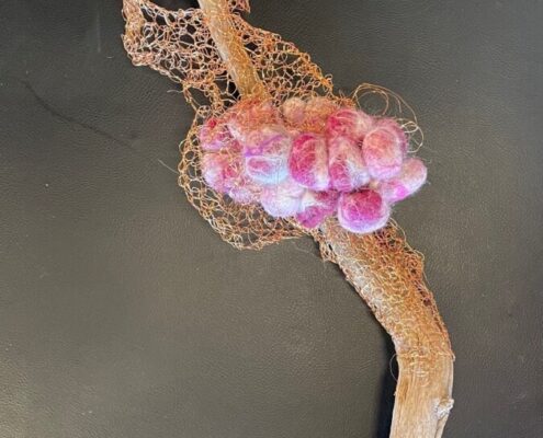 vilt gevangen natuur 2