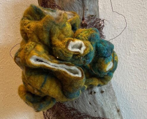 vilt wand gevangen natuur